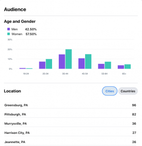 Monitoring & Measuring your marketing. Image of audience Facebook statistics.