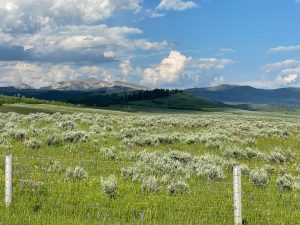 Don't Market Like It's the Wild West. Image of Montana ranch land with blue skies.