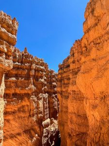 Don't Market Like It's the Wild West. Red cliffs of Bryce Canyon National Park. 